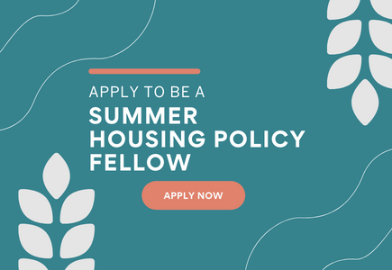 Seeking: A DPN Summer Housing Policy Fellow
