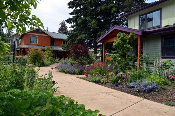 🏘️ New Policy Kit: Community Land Trusts