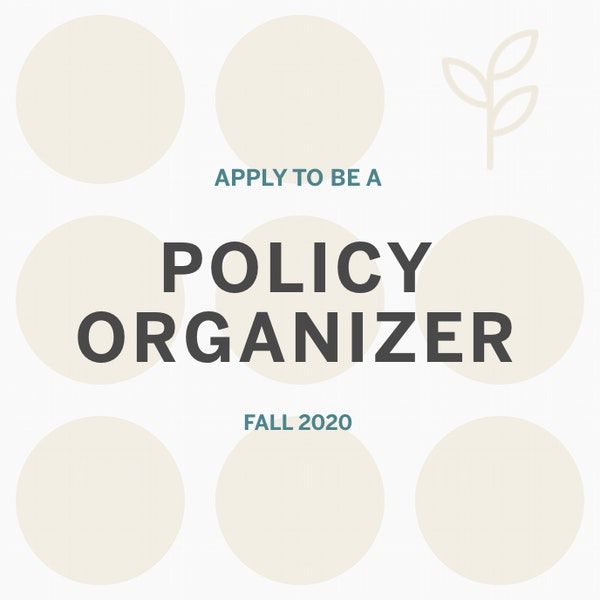 Call for applicants for DPN's fall policy cycle!